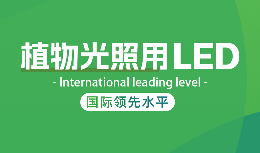 m88官网植物照明LED：高光量子效率驱动农业现代化与节能